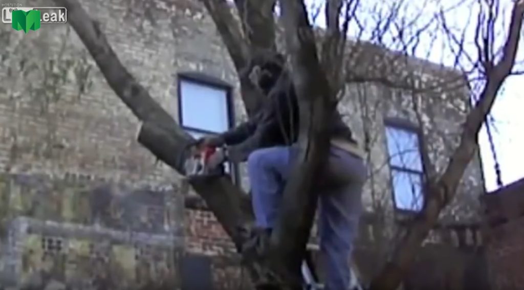 Tree cutting fails and idiots with chainsaws. FAIL ...