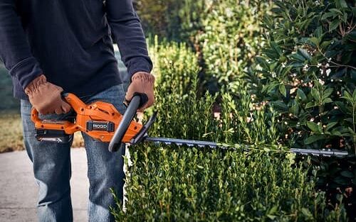 Ridgid 18V brushless hedge trimmer in action