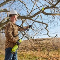 Ryobi 40V HP Brushless 10" Pole Saw